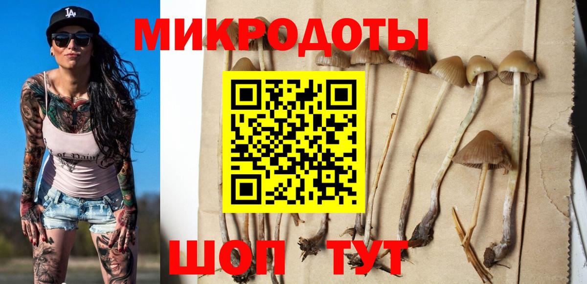 Жигулёвск  Галлюциногенные грибы ЛСД  Вход с VPN 